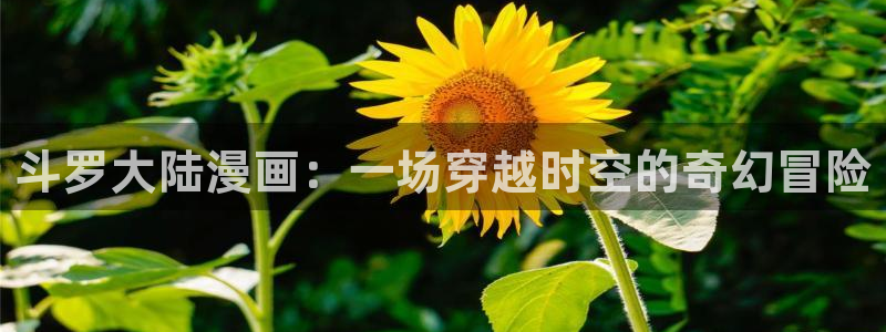 漫蛙2漫画怎么看