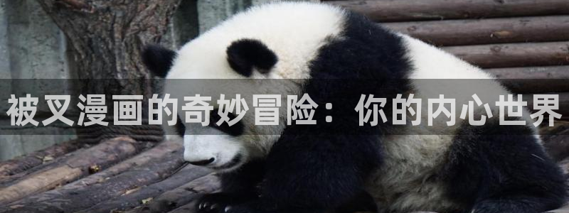 和漫蛙类似的漫画网站
