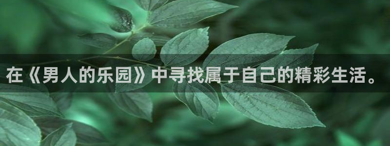 韩漫蛙漫画网：在《男人的乐园》中寻找属于自己的精彩生活。