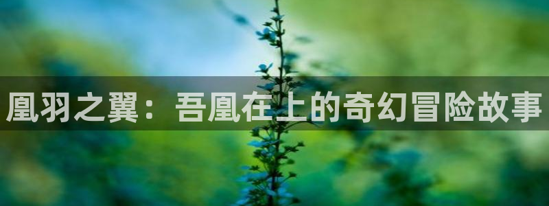漫蛙正版app在哪下载：凰羽之翼：吾凰在上的奇幻冒险故事