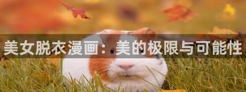 漫蛙私密教学