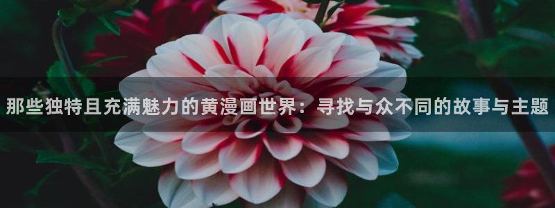 漫蛙2网页版(入口)2025