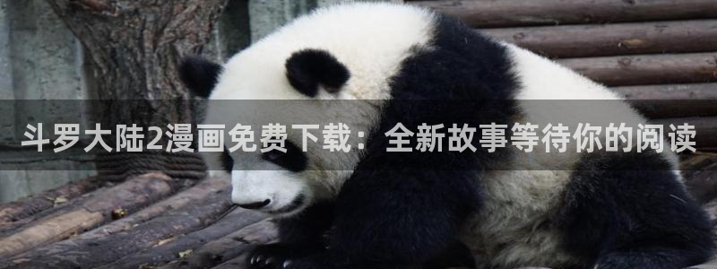 漫蛙manwa官网版的功能