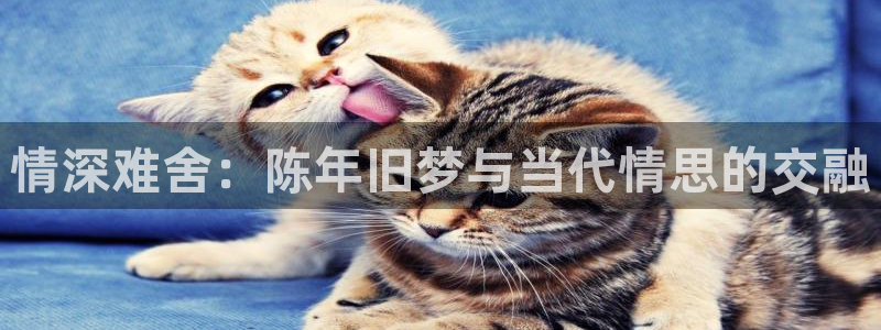 漫蛙2漫画正版免费下载