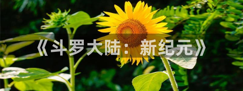 漫蛙书源
