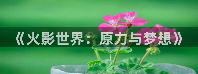 漫蛙漫画(网页入口)链接