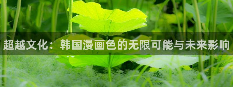 漫蛙怎么没了