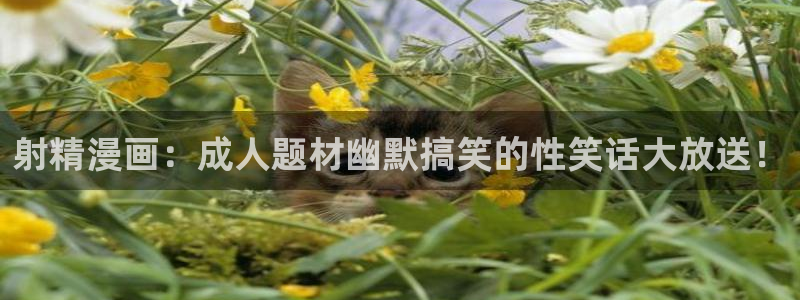 微博漫蛙