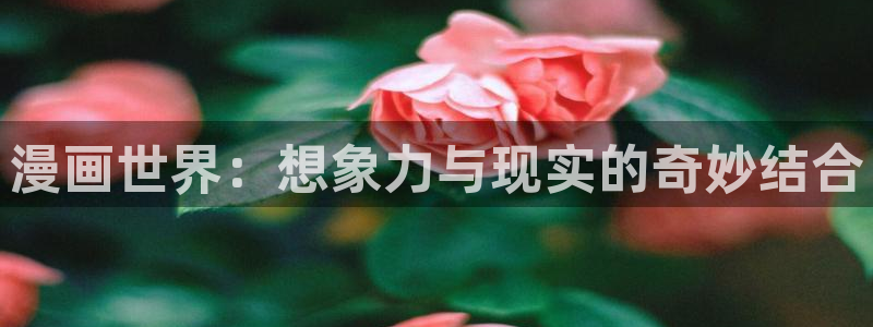 漫蛙网站怎么下载