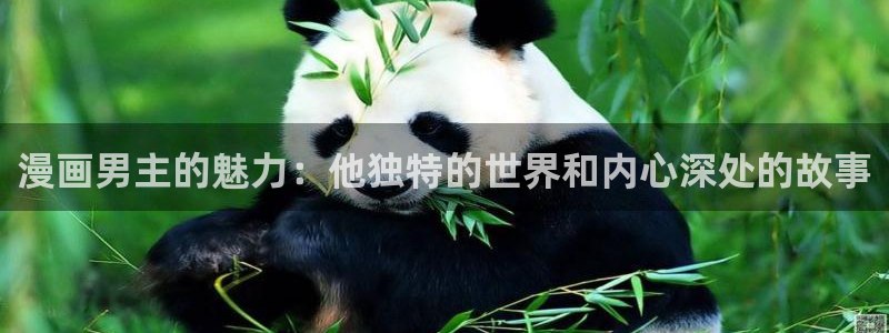 漫蛙2无广告免费