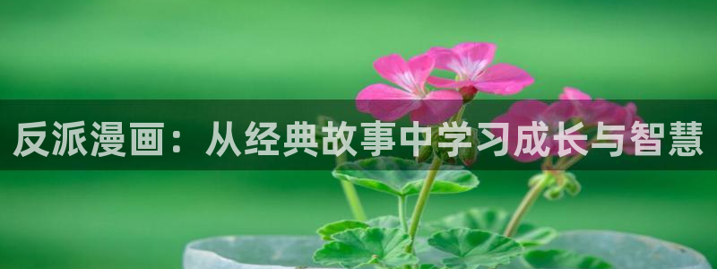 www.漫蛙漫画.top
