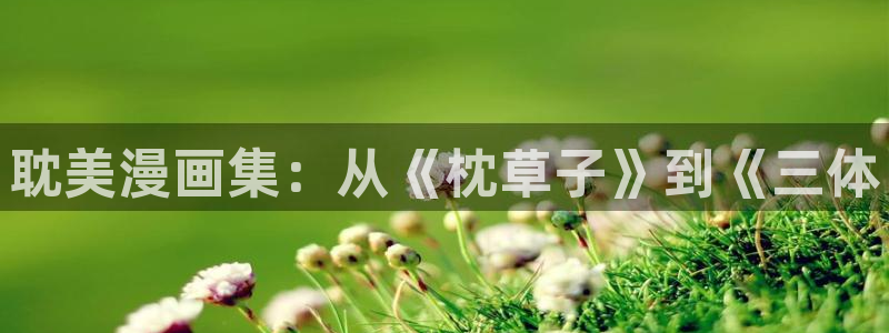 漫蛙防走失