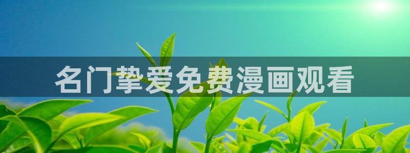 下载漫蛙2正版