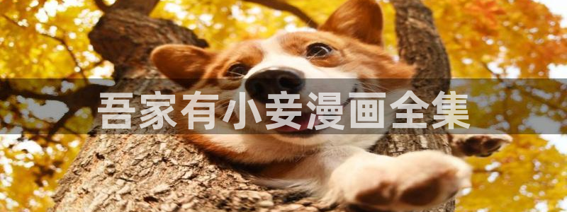 漫蛙吧