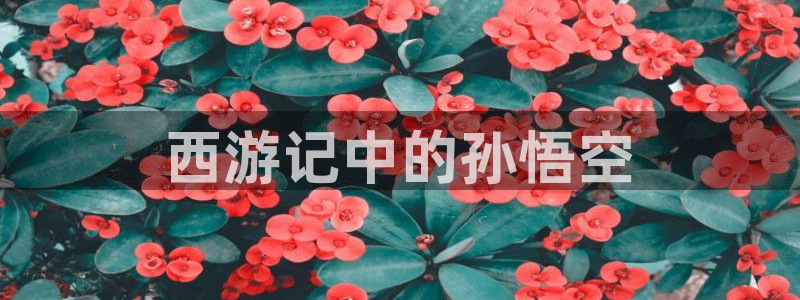漫蛙漫画漫蛙manwa防走失