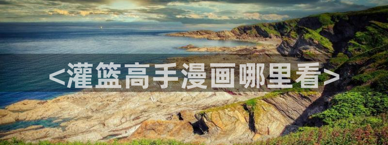漫蛙苹果网址