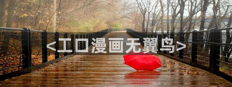 漫蛙2下载官网