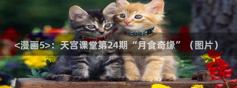 漫蛙官网进入：<漫画5>：天宫课堂第24期“月食奇缘”（图片）