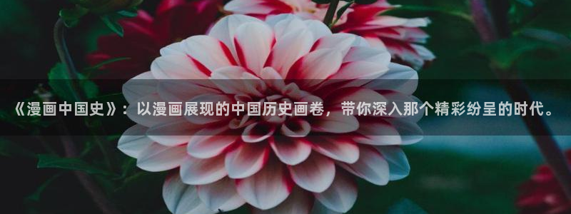 漫蛙manwa飞翔下载