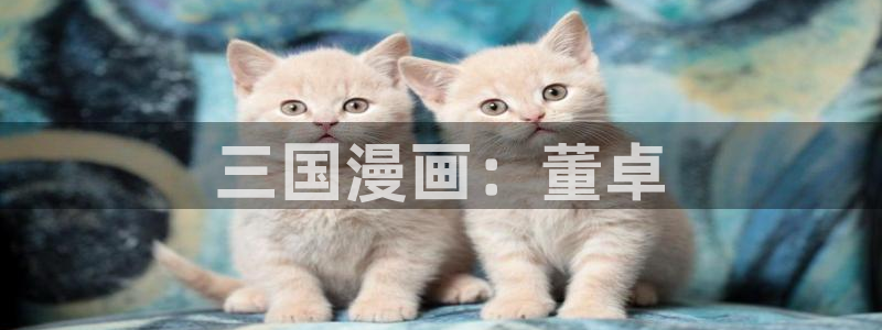 漫蛙官方网页入口 漫画