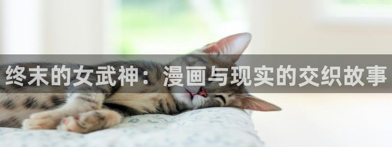 漫蛙如何注册
