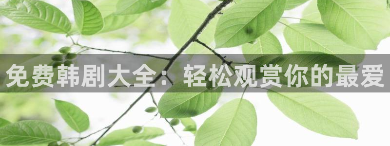 漫蛙防走丢入口