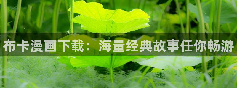 怎么下漫蛙2