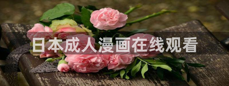 漫蛙动漫网