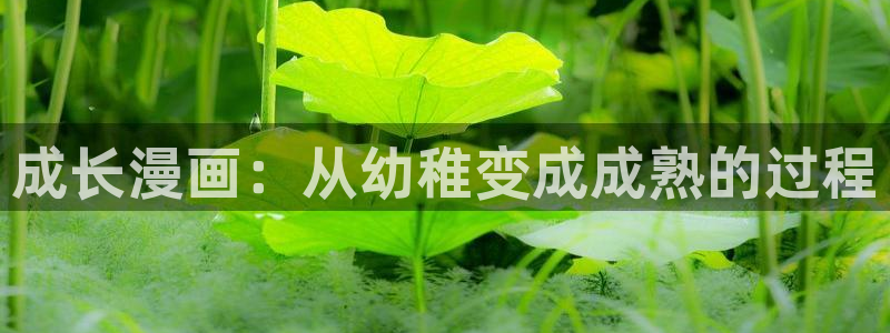 漫蛙漫画免费官网入口
