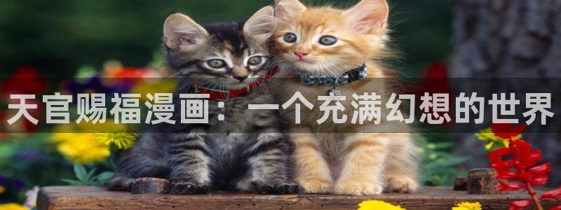 漫蛙manwa官网版入口下载