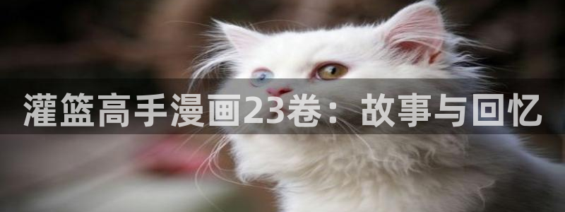 stukitora漫蛙漫画登录入口：灌篮高手漫画23卷：故事与回忆