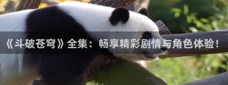 漫蛙2app正版官网
